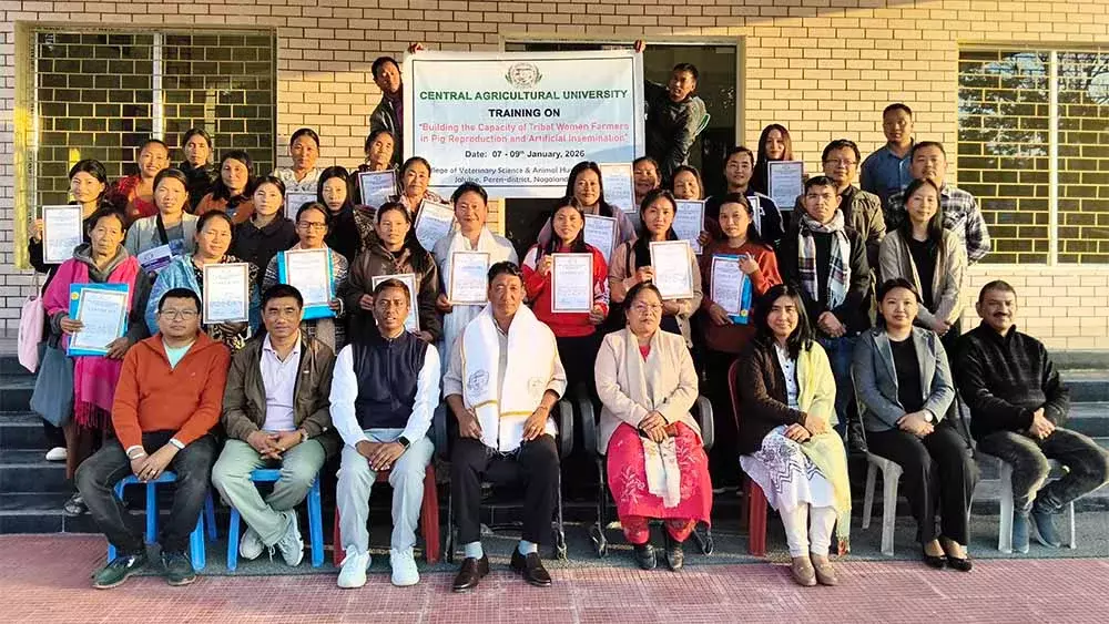 Nagaland : महिला किसानों को सुअर पालन की ट्रेनिंग दी गई Nagaland : महिला किसानों को सुअर पालन की ट्रेनिंग दी गई
