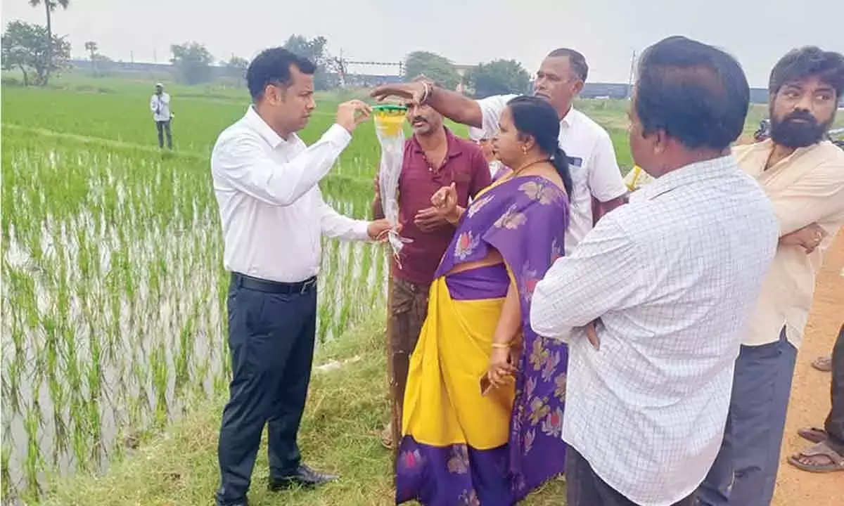 Andhra: किसानों को खेती में लेटेस्ट टेक्नोलॉजी अपनाने की सलाह दी गई