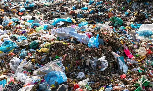 कचरा हटाने के लिए Committee बनाई गई, रिपोर्ट पर्यावरण कोर्ट को सौंपी जाएगी