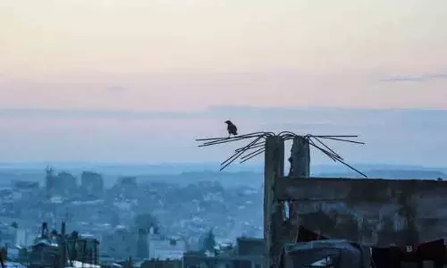 इज़राइली जेल में फ़िलिस्तीनी कैदी की मौत,Gaza निवासी थे हमज़ा अदवान