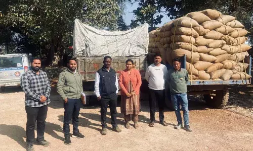 CG: अवैध धान परिवहन पर बड़ी कार्रवाई, 1450 कट्टा धान जब्त