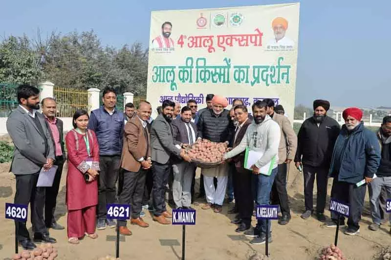 Karnal राज्य उच्च गुणवत्ता वाले आलू बीज उत्पादन में अग्रणी है: मंत्री Karnal राज्य उच्च गुणवत्ता वाले आलू बीज उत्पादन में अग्रणी है: मंत्री