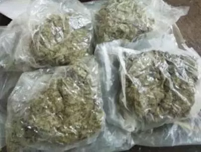 Rajasthan: पुलिस की बड़ी कामयाबी,500 किलो गांजे से लदा ट्रक जब्त Rajasthan: पुलिस की बड़ी कामयाबी,500 किलो गांजे से लदा ट्रक जब्त