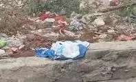 Haryana: कूड़े के ढेर में पड़ा मिला 3 महीने का भ्रूण,इलाके में सनसनी Haryana: कूड़े के ढेर में पड़ा मिला 3 महीने का भ्रूण,इलाके में सनसनी