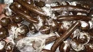 Himachal : पुलिस की कार्रवाई, स्कूटी सवार से बरामद हुई 524 ग्राम चरस Himachal : पुलिस की कार्रवाई, स्कूटी सवार से बरामद हुई 524 ग्राम चरस