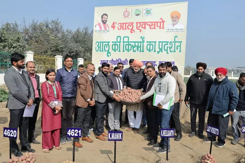 Haryana : राज्य उच्च गुणवत्ता वाले आलू बीज उत्पादन में अग्रणी है मंत्री Haryana : राज्य उच्च गुणवत्ता वाले आलू बीज उत्पादन में अग्रणी है मंत्री