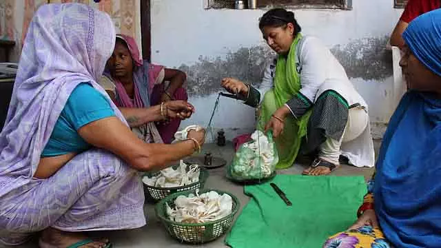 Bengaluru में घरेलू हिंसा पीड़ितों के लिए मशरूम की खेती की ट्रेनिंग Bengaluru में घरेलू हिंसा पीड़ितों के लिए मशरूम की खेती की ट्रेनिंग