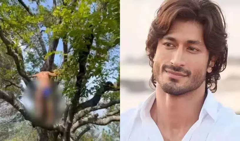 पेड़ पर न्यूड दिखे Bollywood actor.. नेटिज़न्स कर रहे हैं शिकायत पेड़ पर न्यूड दिखे Bollywood actor.. नेटिज़न्स कर रहे हैं शिकायत