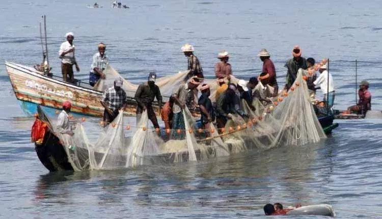 Gahirmatha अभ्यारण्य में गैर-कानूनी तरीके से मछली पकड़ने के आरोप में सात मछुआरे गिरफ्तार Gahirmatha अभ्यारण्य में गैर-कानूनी तरीके से मछली पकड़ने के आरोप में सात मछुआरे गिरफ्तार