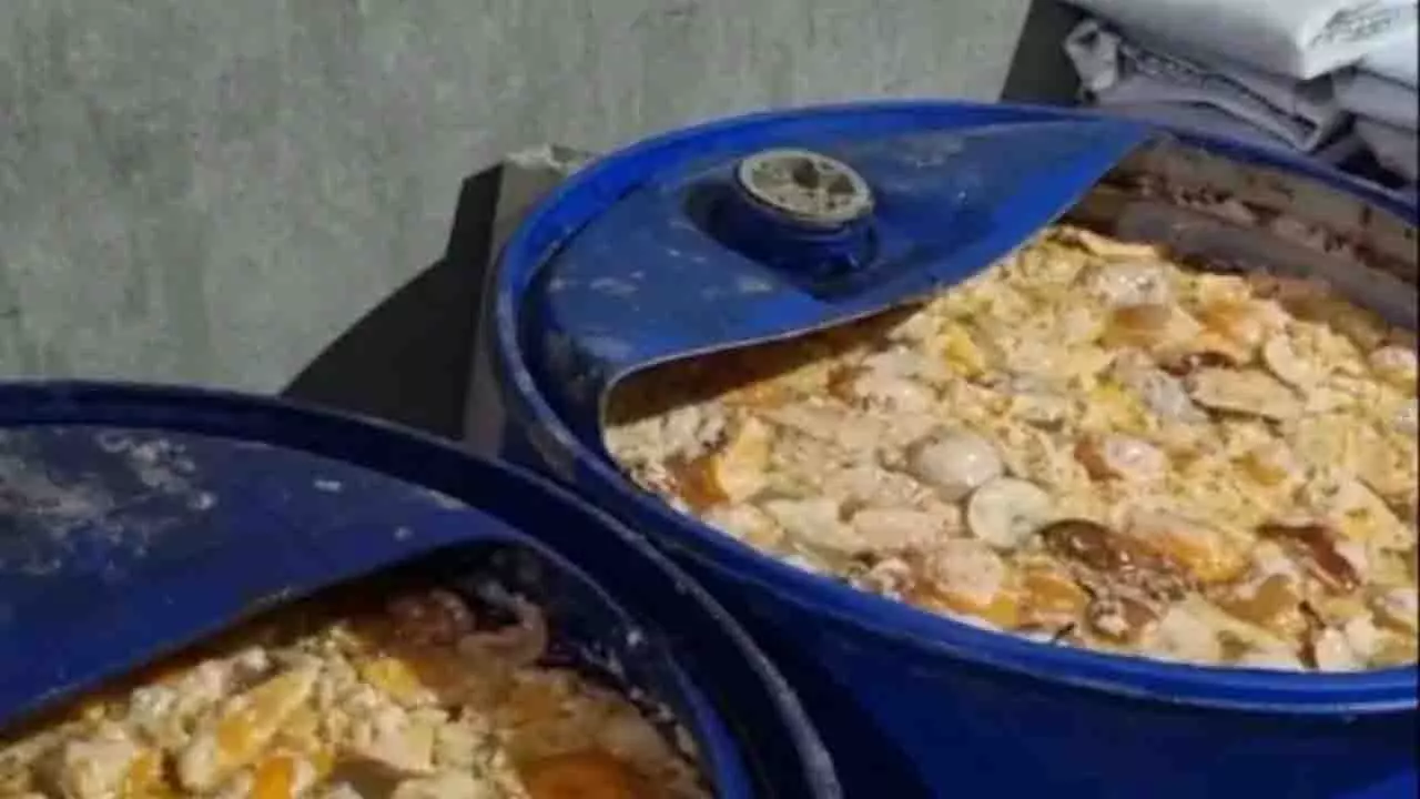 Bhubaneswar के सालिया साही में अवैध देसी शराब यूनिट का फिर से भंडाफोड़ Bhubaneswar के सालिया साही में अवैध देसी शराब यूनिट का फिर से भंडाफोड़