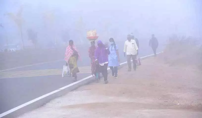 Telangana में तेज़ ठंड, घने कोहरे के अलर्ट के बीच संक्रांति से गर्मी आएगी Telangana में तेज़ ठंड, घने कोहरे के अलर्ट के बीच संक्रांति से गर्मी आएगी