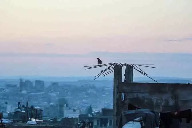 इज़राइली जेल में फ़िलिस्तीनी कैदी की मौत,Gaza निवासी थे हमज़ा अदवान इज़राइली जेल में फ़िलिस्तीनी कैदी की मौत,Gaza निवासी थे हमज़ा अदवान