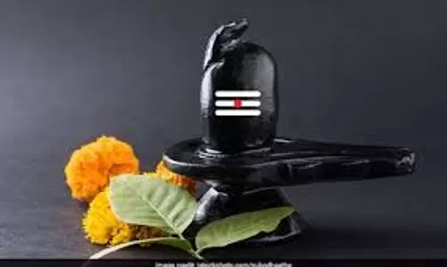 Shivling Puja Niyam: शिवलिंग पर बेलपत्र चढ़ाने से पहले जान लें सही नियम, वरना पूजा रह सकती है अधूरी Shivling Puja Niyam: शिवलिंग पर बेलपत्र चढ़ाने से पहले जान लें सही नियम, वरना पूजा रह सकती है अधूरी