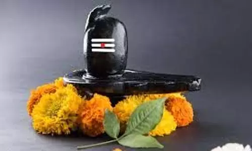 Shiv Mahapuran Remedies: शिवलिंग पर चावल चढ़ाने से क्यों होती है मां लक्ष्मी की कृपा ,जानिए,शिवमहापुराण का चमत्कारी रहस्य Shiv Mahapuran Remedies: शिवलिंग पर चावल चढ़ाने से क्यों होती है मां लक्ष्मी की कृपा ,जानिए,शिवमहापुराण का चमत्कारी रहस्य