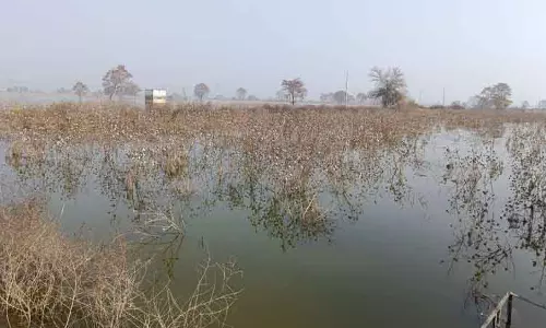 Bhiwani भिवानी के गांवों में पानी जमा है, राहत नहीं