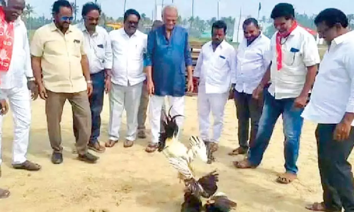 Telangana: भीमावरम संक्रांति उत्साह से गूंज उठा Telangana: भीमावरम संक्रांति उत्साह से गूंज उठा