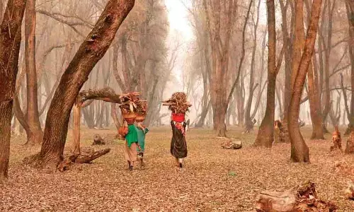 न्यूनतम तापमान में सुधार; Kashmiris ने भरपूर बर्फबारी की दुआ की न्यूनतम तापमान में सुधार; Kashmiris ने भरपूर बर्फबारी की दुआ की
