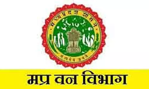 Bhopal : वन विभाग की जांच टीम ने बाघ की मौत में रेलवे की चूक का खुलासा किया