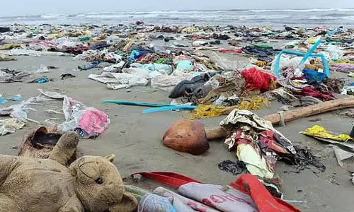 GCC मरीना और दूसरे बीच पर कूड़ा फेंकने वालों पर 5,000 रुपये का जुर्माना लगाएगी
