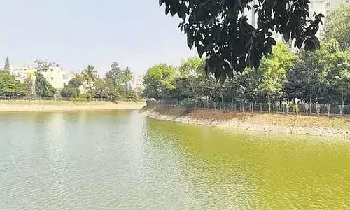 Finance मिनिस्टर की कोशिशों से बेंगलुरु की कलेना अग्रहारा झील फिर से ज़िंदा हो गई