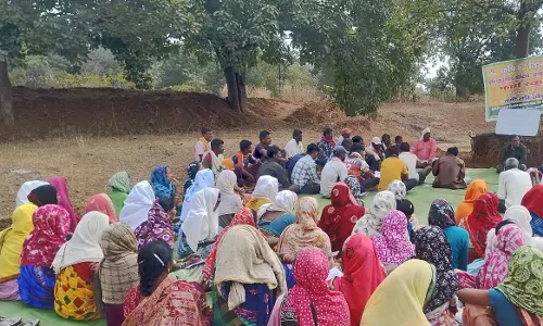 धमतरी के आदिवासी अंचल में 50 साल बाद रबी सीजन में खेती की नई शुरुआत