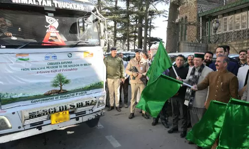 हिमाचल ने Bhutan को चिलगोजा के पौधे भेंट किए