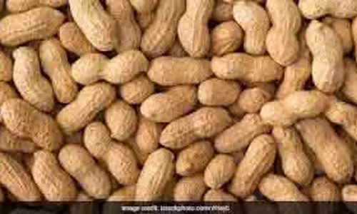 Peanut का सेवन: कौन रखे सावधानी