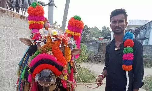 Sankranti का बदलता रंग: लुप्त हो रही गंगिरेद्दुलु और हरिदासुलु परंपरा
