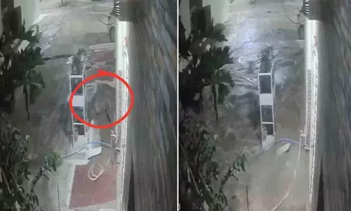 Gwalior में पाइपलाइन फटने से पूरी कॉलोनी में पानी भर गया, ज़मीन में दरारें आ गईं Gwalior में पाइपलाइन फटने से पूरी कॉलोनी में पानी भर गया, ज़मीन में दरारें आ गईं
