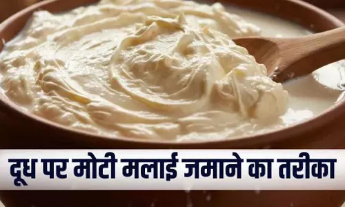 Milk में मोटी मलाई जमाने के आसान घरेलू तरीके