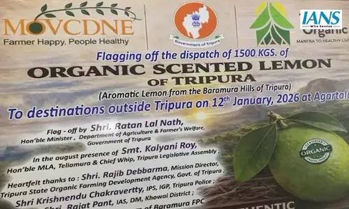त्रिपुरा ने 1.5 टन ऑर्गेनिक गंधराज नींबू का सबसे बड़ा निर्यात किया, मध्य पूर्व और यूके को भेजी खेप त्रिपुरा ने 1.5 टन ऑर्गेनिक गंधराज नींबू का सबसे बड़ा निर्यात किया, मध्य पूर्व और यूके को भेजी खेप