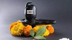 Shiv Mahapuran Remedies: शिवलिंग पर चावल चढ़ाने से क्यों होती है मां लक्ष्मी की कृपा ,जानिए,शिवमहापुराण का चमत्कारी रहस्य Shiv Mahapuran Remedies: शिवलिंग पर चावल चढ़ाने से क्यों होती है मां लक्ष्मी की कृपा ,जानिए,शिवमहापुराण का चमत्कारी रहस्य