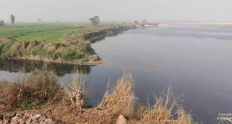 Haryana: यमुना प्रदूषण के 11 अवैध कचरा डिस्चार्ज पॉइंट का खुलासा Haryana: यमुना प्रदूषण के 11 अवैध कचरा डिस्चार्ज पॉइंट का खुलासा