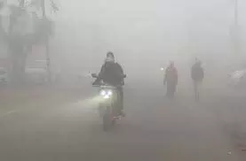 Punjab Weather: शीत लहर के बीच कोहरे का कहर,कई जिलों में ऑरेंज अलर्ट Punjab Weather: शीत लहर के बीच कोहरे का कहर,कई जिलों में ऑरेंज अलर्ट