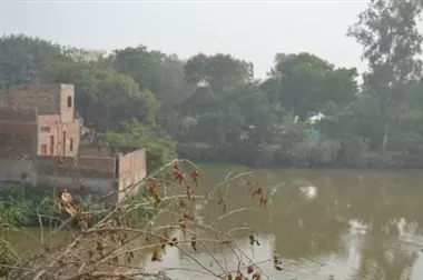 Farrukhabad: सुंदरीकरण के अभाव में बढ़पुर मंदिर का तालाब जर्जर Farrukhabad: सुंदरीकरण के अभाव में बढ़पुर मंदिर का तालाब जर्जर