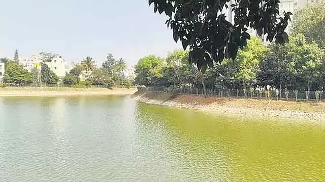 Finance मिनिस्टर की कोशिशों से बेंगलुरु की कलेना अग्रहारा झील फिर से ज़िंदा हो गई Finance मिनिस्टर की कोशिशों से बेंगलुरु की कलेना अग्रहारा झील फिर से ज़िंदा हो गई
