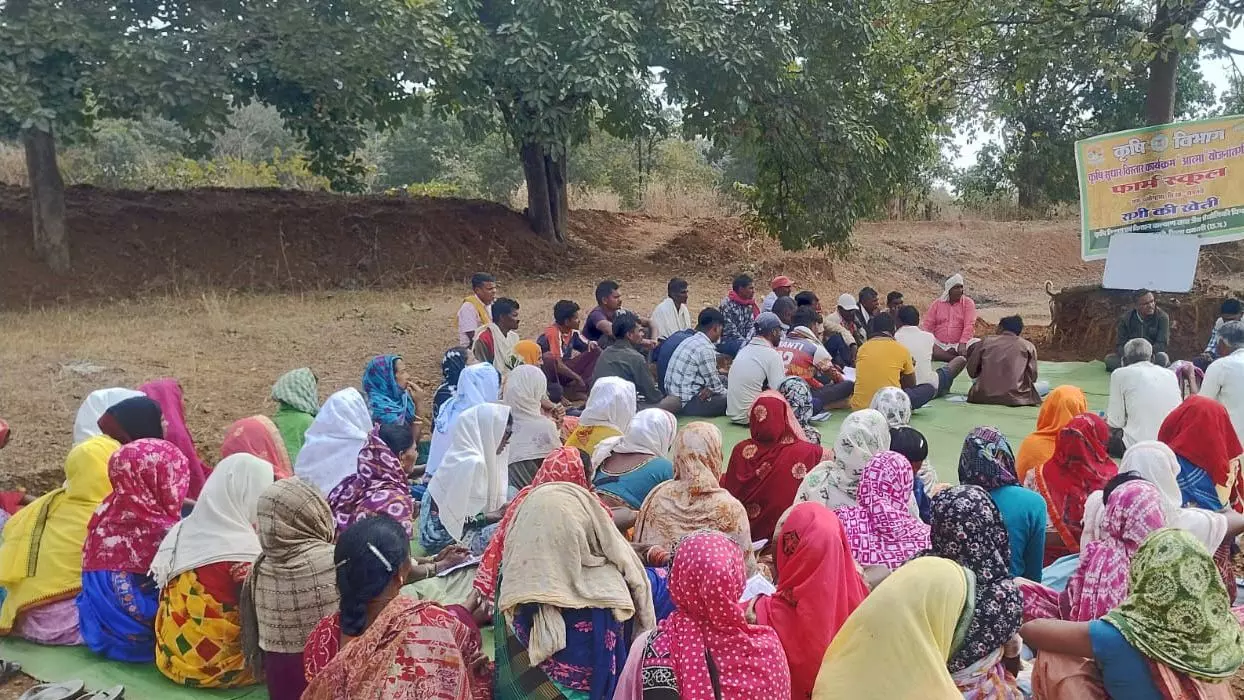 धमतरी के आदिवासी अंचल में 50 साल बाद रबी सीजन में खेती की नई शुरुआत धमतरी के आदिवासी अंचल में 50 साल बाद रबी सीजन में खेती की नई शुरुआत