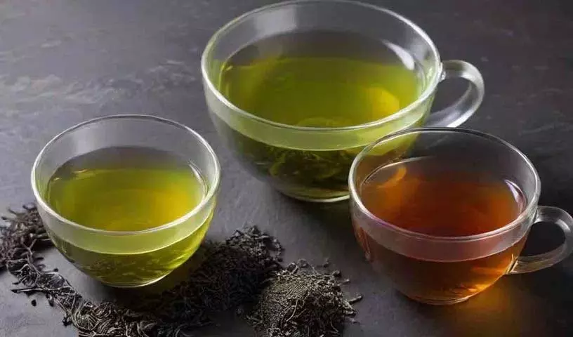 Weight loss के लिए कौन सी बेहतर है, ग्रीन टी या ब्लैक टी? Weight loss के लिए कौन सी बेहतर है, ग्रीन टी या ब्लैक टी?
