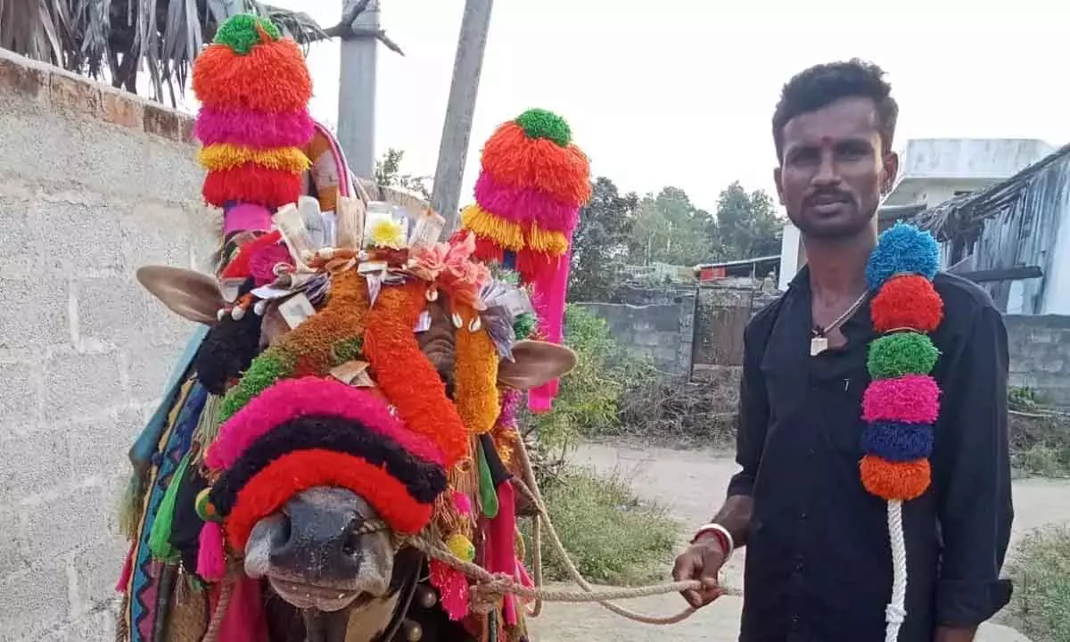 Sankranti का बदलता रंग: लुप्त हो रही गंगिरेद्दुलु और हरिदासुलु परंपरा Sankranti का बदलता रंग: लुप्त हो रही गंगिरेद्दुलु और हरिदासुलु परंपरा
