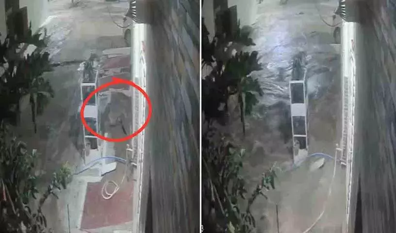 Gwalior में पाइपलाइन फटने से पूरी कॉलोनी में पानी भर गया, ज़मीन में दरारें आ गईं Gwalior में पाइपलाइन फटने से पूरी कॉलोनी में पानी भर गया, ज़मीन में दरारें आ गईं