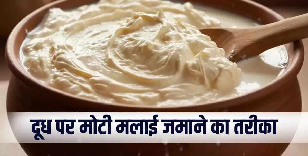 Milk में मोटी मलाई जमाने के आसान घरेलू तरीके Milk में मोटी मलाई जमाने के आसान घरेलू तरीके