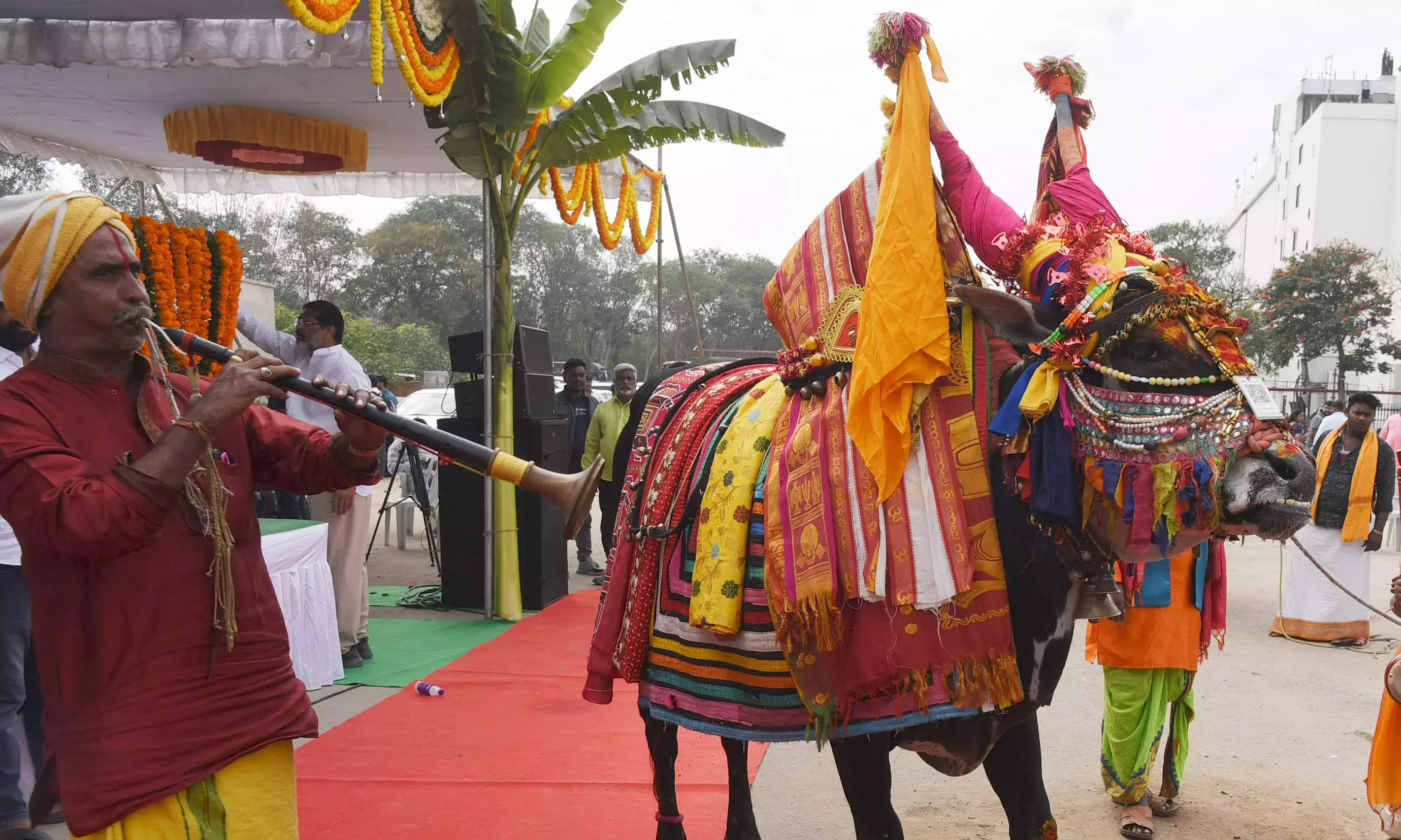 Andhra: पंचांग लेखक के अनुयायियों के एक समूह ने संक्रांति मनाई Andhra: पंचांग लेखक के अनुयायियों के एक समूह ने संक्रांति मनाई