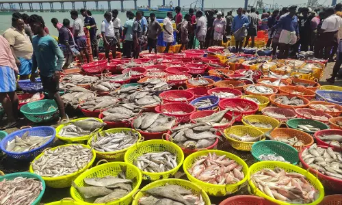 Mumbai: अमेरिका के टैरिफ के बीच भारत का सीफूड निर्यात मजबूत