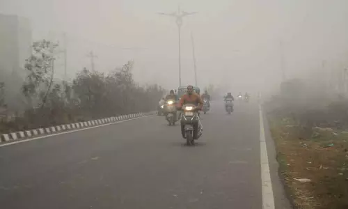 Punjab और हरियाणा में कड़ाके की ठंड, चंडीगढ़ में इस मौसम की सबसे ठंडी रात दर्ज की गई
