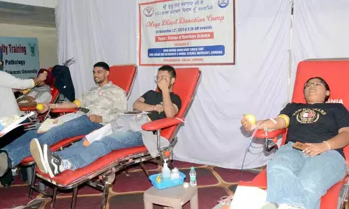 Phagwara में युवाओं ने कैंप में रक्तदान किया