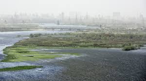 Surajpur और ओखला अभ्यारण्य में 20,000 से ज़्यादा पक्षी दर्ज किए गए