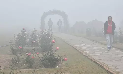 चंडीगढ़ में सर्दी का कहर न्यूनतम तापमान 2.8°C तक गिरा, नौ साल में सबसे कम चंडीगढ़ में सर्दी का कहर न्यूनतम तापमान 2.8°C तक गिरा, नौ साल में सबसे कम