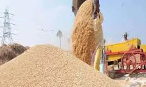 कोरिया : धान उपार्जन केंद्रों में निरंतर निगरानी करें नोडल अधिकारी कोरिया : धान उपार्जन केंद्रों में निरंतर निगरानी करें नोडल अधिकारी