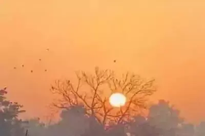 Lucknow: धूप से मिली रौनक, पश्चिमी यूपी में ठंड अभी भी महसूस Lucknow: धूप से मिली रौनक, पश्चिमी यूपी में ठंड अभी भी महसूस