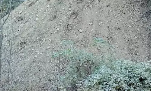 SDM ने ठियोग के पास जंगल में मलबा और गंदगी डंप करने की जांच के आदेश दिए